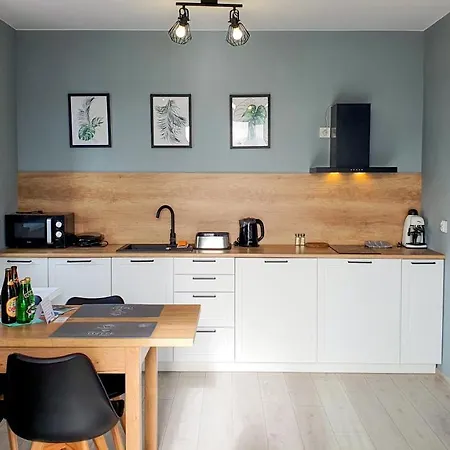 Pod Brzozami Gorna 公寓 *